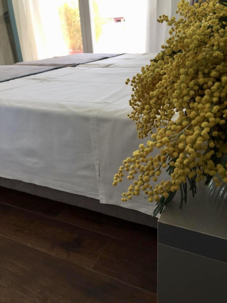 Amberyellowbnb Shkodra Kültér fotó